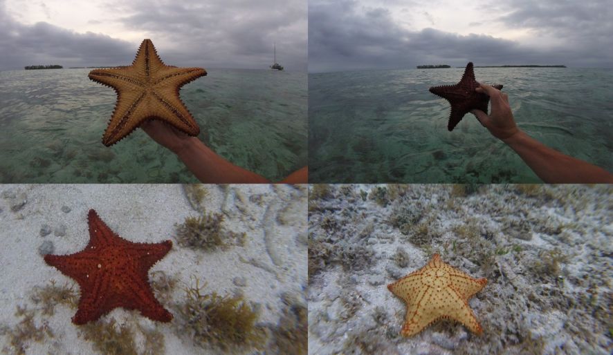 Карибское море