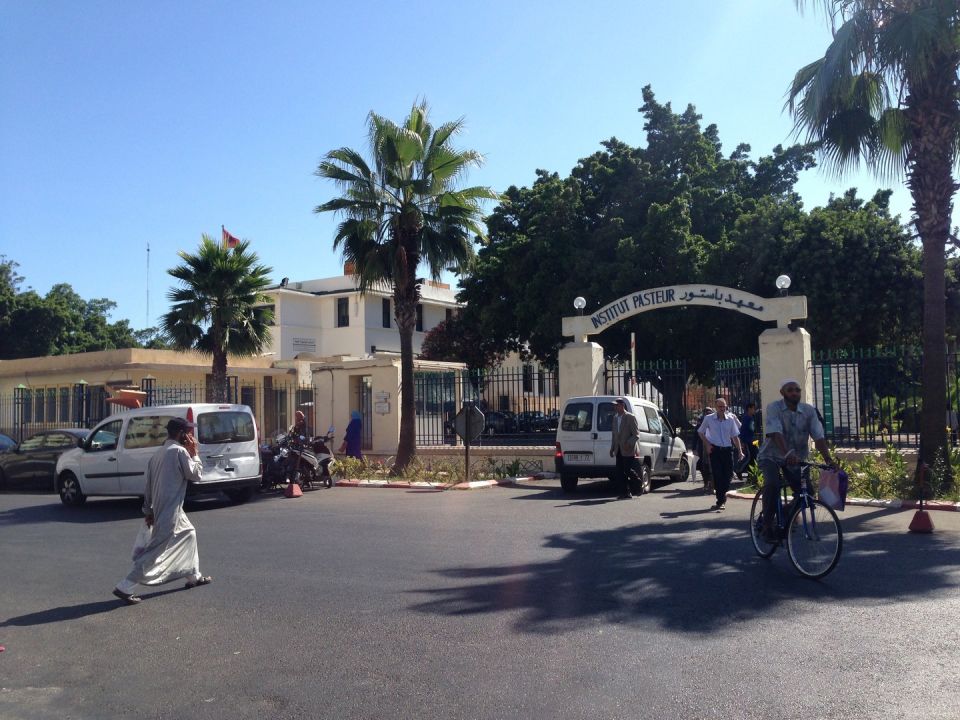 �������� Institut Pasteur Du Maroc