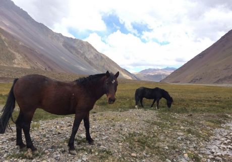 El Yeso El Yeso