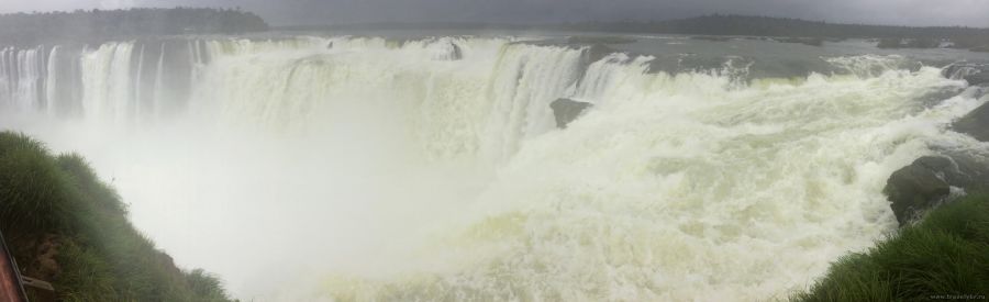 ������������ ���� ������